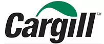 AnyConv.com__Frame 10